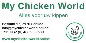 My Chicken World